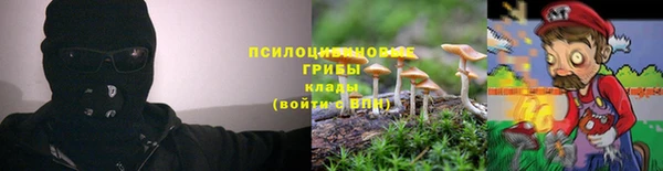 каннабис Алексеевка