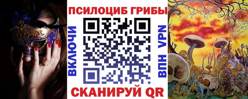 Псилоцибиновые грибы Psilocybine cubensis  Калач 